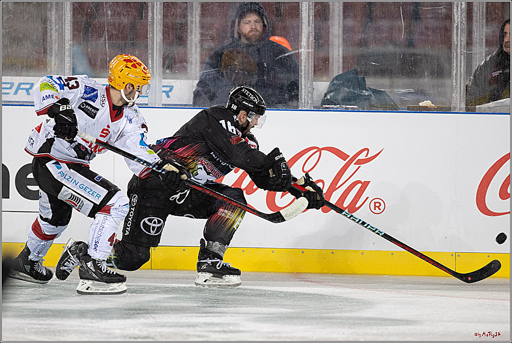 PENNY DEL;  Kölner Haie - Fischtown Pinguins; Köln, 22.12.2022